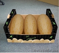 arbuz,dynya,sliva - Изображение #1, Объявление #1096375