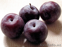 arbuz,dynya,sliva - Изображение #3, Объявление #1096375