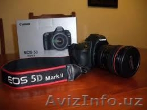 Canon 5D mark II - Изображение #1, Объявление #845308